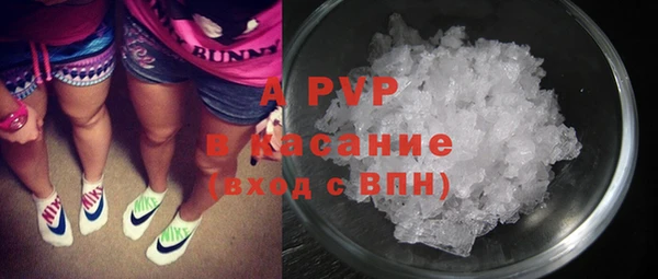 ПСИЛОЦИБИНОВЫЕ ГРИБЫ Калининец