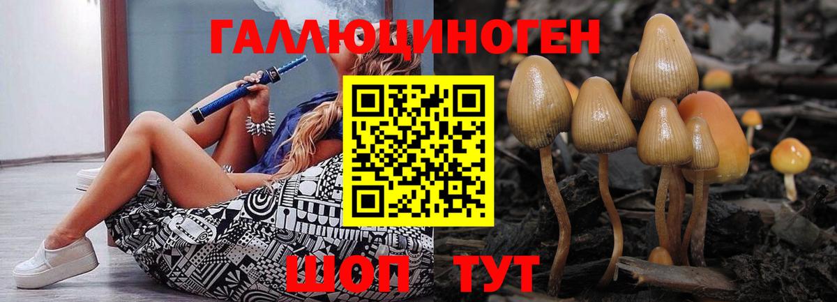 Галлюциногенные грибы Magic Shrooms Саянск