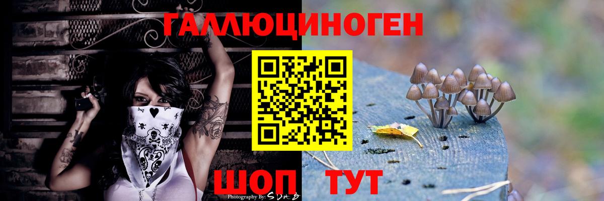 НБОМе Саянск